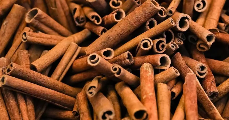 Can You Reuse Cinnamon Sticks? (Answered 2023)